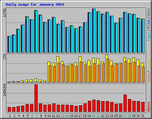 Daily usage for January 2024
