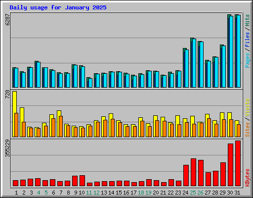 Daily usage for January 2025