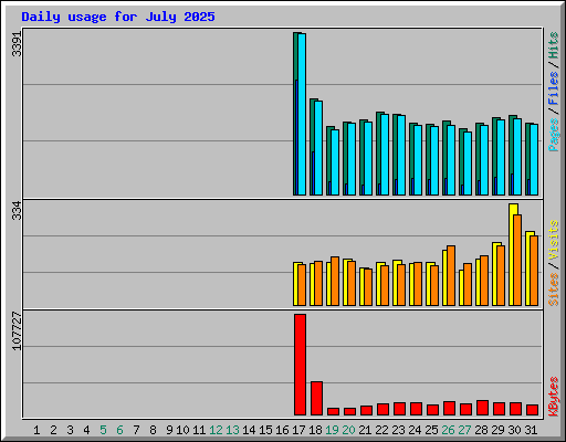 Daily usage for July 2025