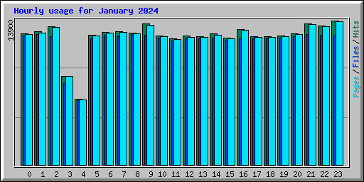 Hourly usage for January 2024