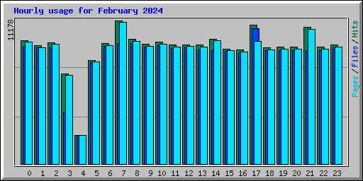 Hourly usage for February 2024