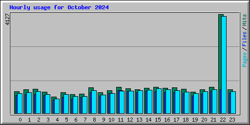 Hourly usage for October 2024
