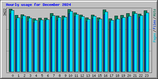 Hourly usage for December 2024