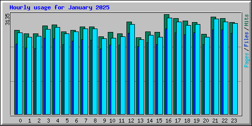 Hourly usage for January 2025