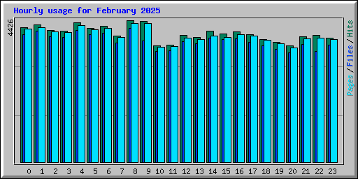 Hourly usage for February 2025