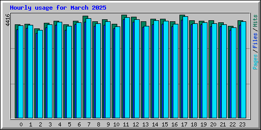Hourly usage for March 2025