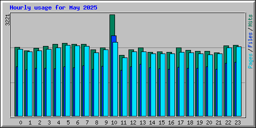 Hourly usage for May 2025