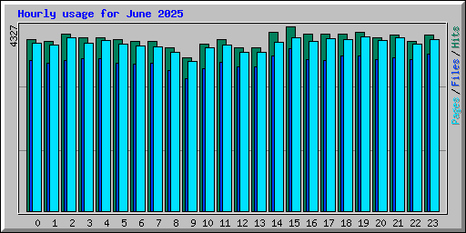 Hourly usage for June 2025