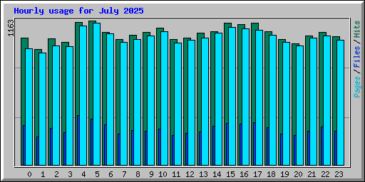 Hourly usage for July 2025