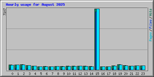 Hourly usage for August 2025