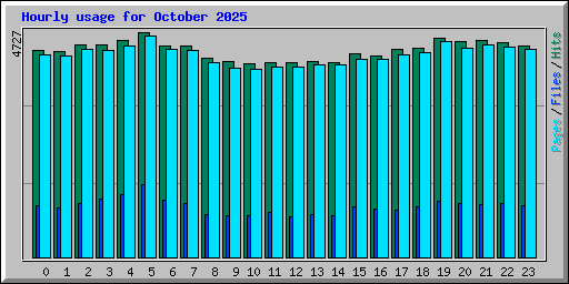 Hourly usage for October 2025