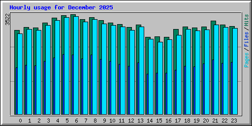 Hourly usage for December 2025