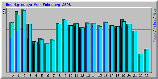 Hourly usage for February 2026