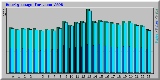 Hourly usage for June 2026